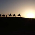 From Zagora: 3-Desert Tour to Erg Chigaga Dunes & Caml Trek - Whats Included and What Not