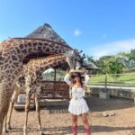 From Zanzibar Animal Feeding & Dar Es Salaam City Tour 2Days - How Valuable Is the Tour?