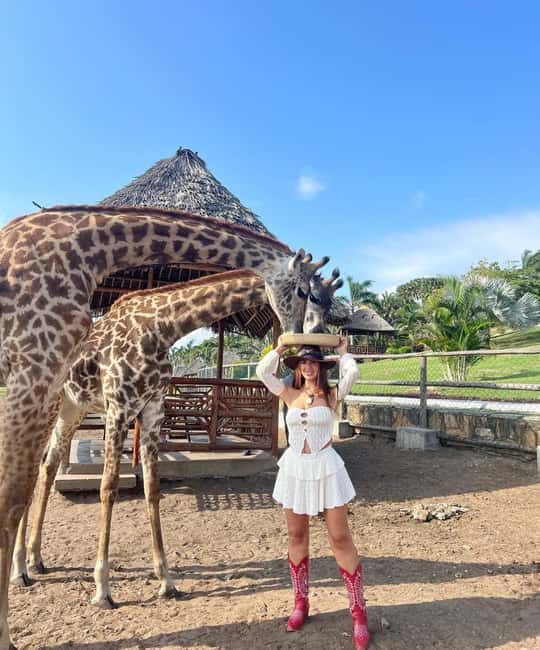 From Zanzibar Animal Feeding & Dar Es Salaam City Tour 2Days - How Valuable Is the Tour?