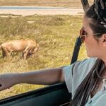 From Zanzibar - Mikumi Day Safari with flight - What’s Included and Why It Matters