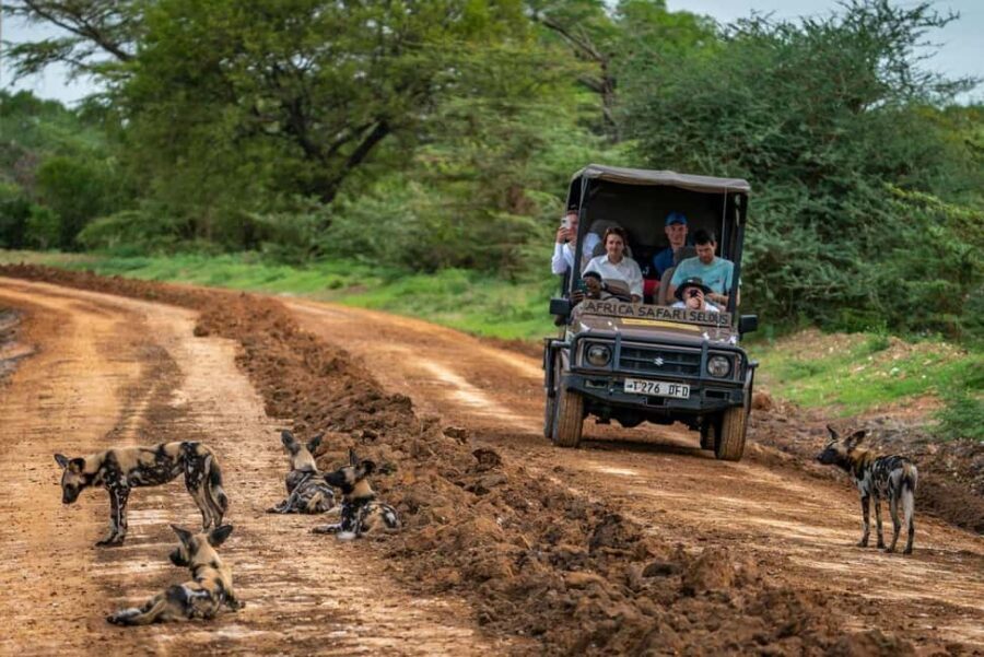 From Zanzibar: Mikumi Day Trip Safari By Flight. - Transportation and Group Size