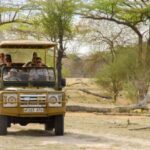 From Zanzibar: Mikumi National Park Guided Safari - Who Will Love This Tour?