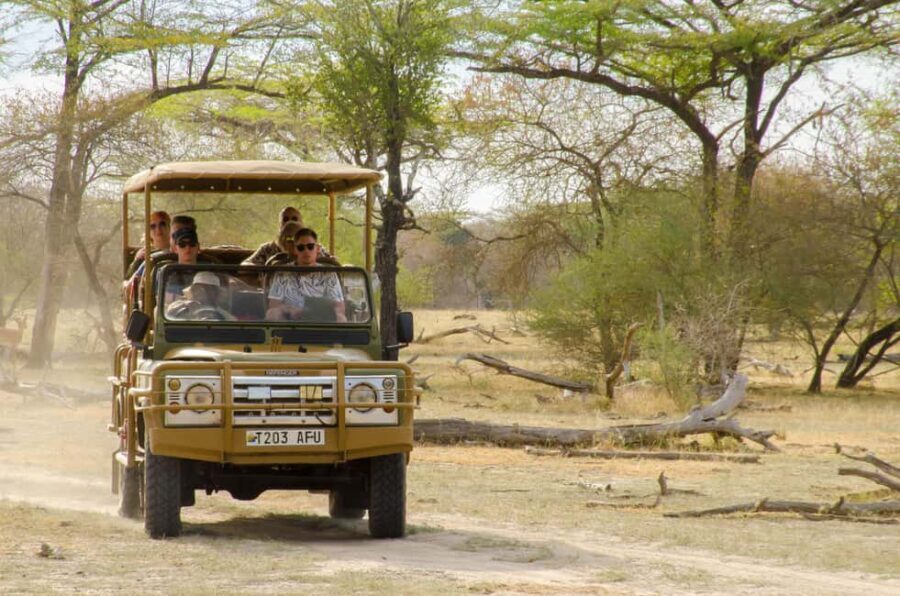 From Zanzibar: Mikumi National Park Guided Safari - Who Will Love This Tour?