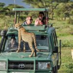 From Zanzibar: Mikumi Safari day trip with flight - What’s Included and What to Consider