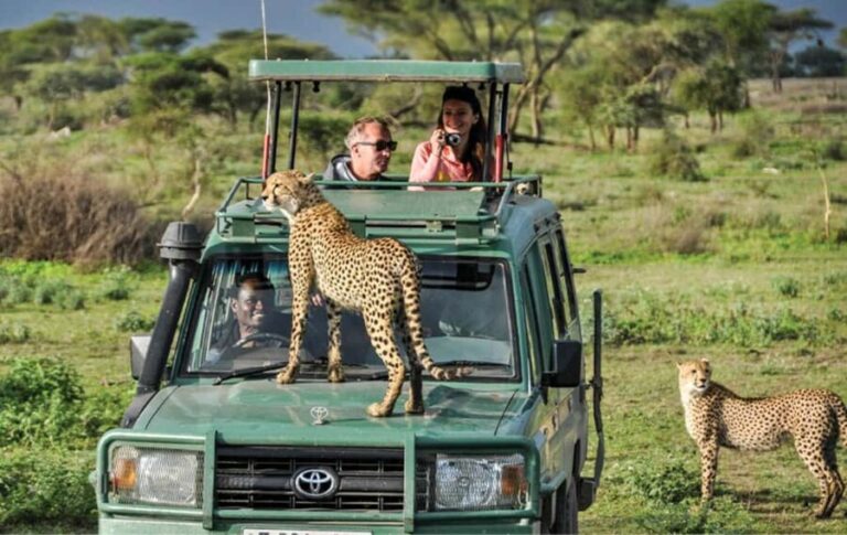 From Zanzibar: Mikumi Safari day trip with flight - What’s Included and What to Consider