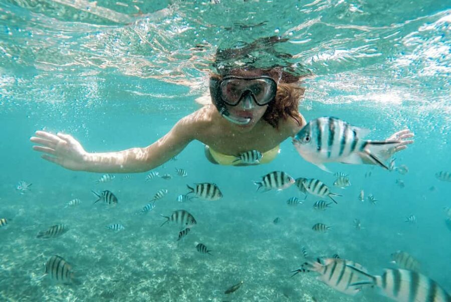 From Zanzibar: Mnemba Boat Tour with Snorkeling & Dolphine - Snorkeling at Mnemba Atoll