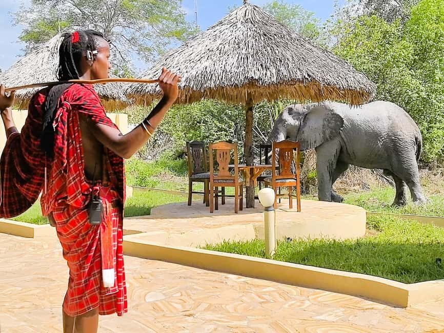 From Zanzibar: Overnight Selous G.R. Safari with Flights - What’s Included and What’s Not