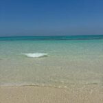 From Zanzibar: Prison Island With Nakupenda Tour - Authentic Encounters and Practical Tips