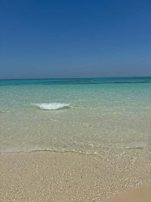 From Zanzibar: Prison Island With Nakupenda Tour - Authentic Encounters and Practical Tips