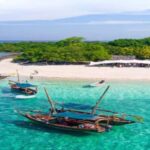 From Zanzibar: Safari Blue Snorkeling Trip with Lunch - The Itinerary in Detail
