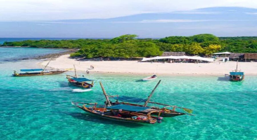 From Zanzibar: Safari Blue Snorkeling Trip with Lunch - The Itinerary in Detail