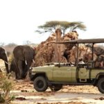 From Zanzibar: Safari Day Trip Selous Game Reserve - Practical Tips for Travelers