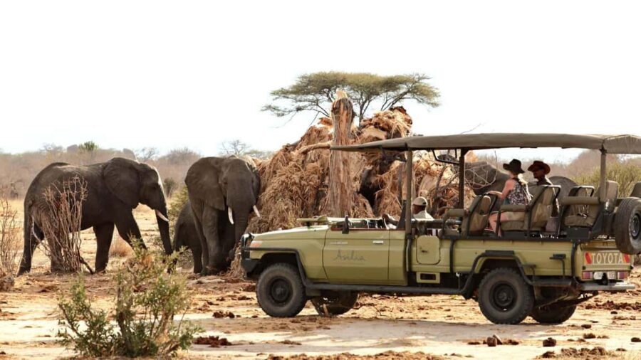 From Zanzibar: Safari Day Trip Selous Game Reserve - Practical Tips for Travelers