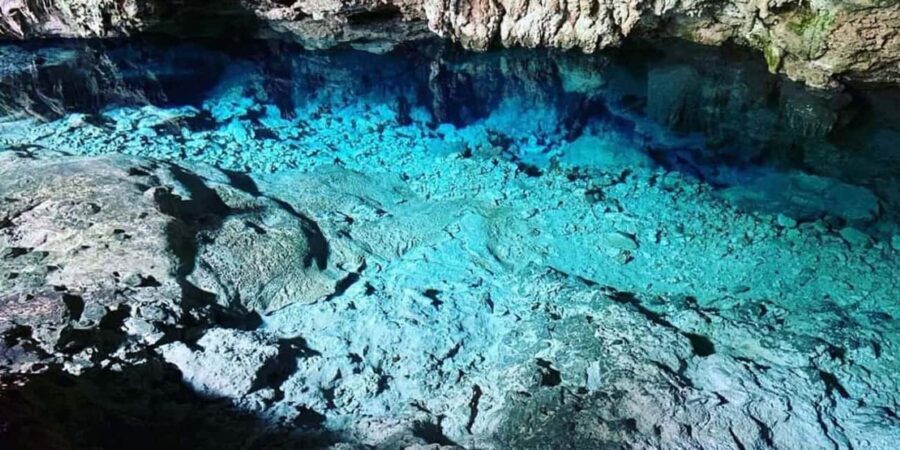 From Zanzibar: Starfish, Blue Lagoon, & The Rock Restaurant - The Itinerary in Detail