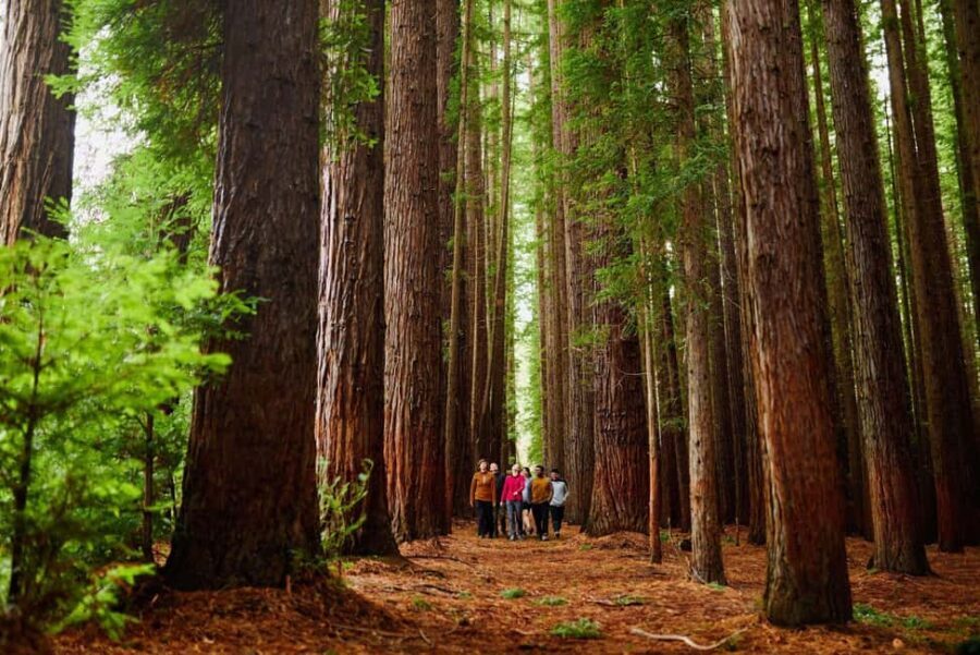 Fruit Picking & Nature Tour Yarra Valley & Warburton - Practical Details and Considerations