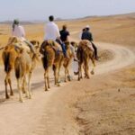 Full-Day Agafay Desert & Atlas Mountains Tour With Camels - Returning to Marrakech