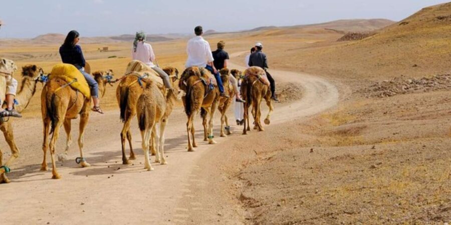 Full-Day Agafay Desert & Atlas Mountains Tour With Camels - Returning to Marrakech