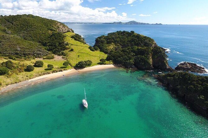 Full-Day Bay of Islands Tour by Vigilant Yacht Charters - Who Will Love This Tour?