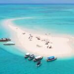 Full-Day Blue Lagoon & Sandbank from Zanzibar (Safari blue) - Who Will Love This Tour?