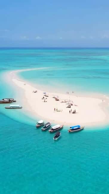Full-Day Blue Lagoon & Sandbank from Zanzibar (Safari blue) - Who Will Love This Tour?
