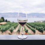 Full-Day Boutique Wine Tour with Pick Up and Lunch - Thorough Breakdown of the Itinerary