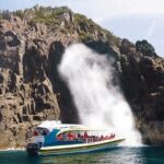 Full-Day Bruny Island Cruises Day Tour from Hobart - Who Will Love This Tour?