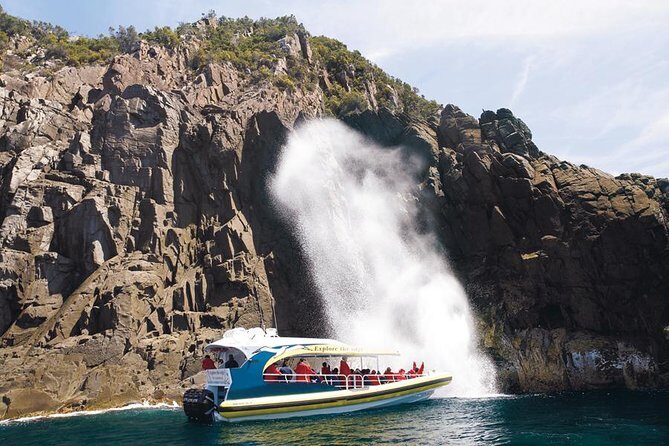 Full-Day Bruny Island Cruises Day Tour from Hobart - Who Will Love This Tour?