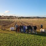 Full-Day Canberra Winery Tour to Murrumbateman /w lunch - Logistics and Practical Details