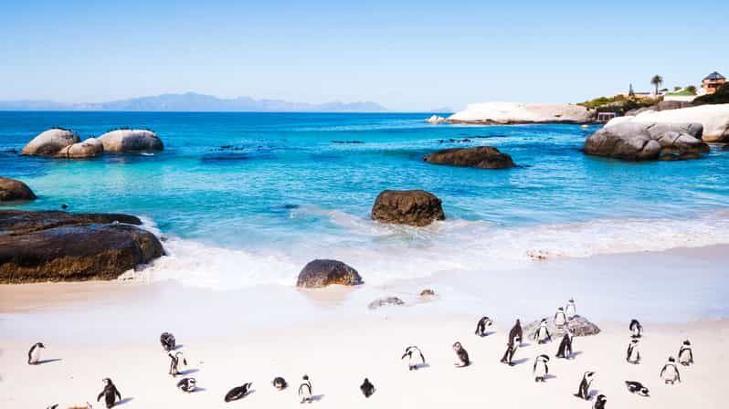 Full Day Cape Peninsula Tour - Itinerary Breakdown: What to Expect