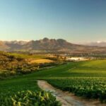 Full-Day Cape Winelands Tour - Who Will Love This Tour?