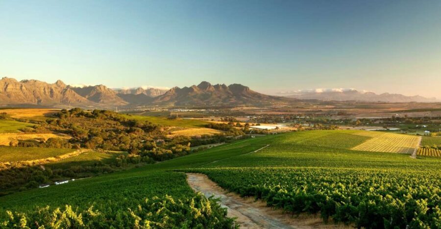 Full-Day Cape Winelands Tour - Who Will Love This Tour?