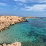 Full day Catamaran Cruise to Daymaniyat Islands - Why Is This Tour Worth It?