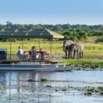 Full Day Chobe Trip From Livingstone Town Zambia - What Could Be Improved?