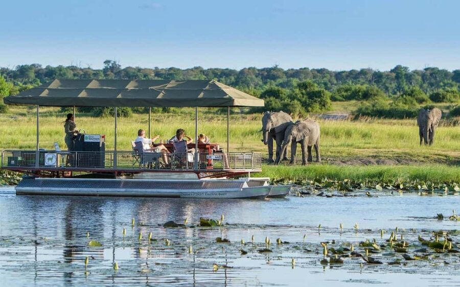 Full Day Chobe Trip From Livingstone Town Zambia - What Could Be Improved?