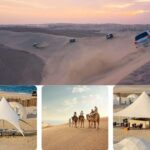 Full Day Desert Safari, Camp Access, Buffet Dinner, Camel - Why This Tour Works Well