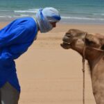 Full-Day Dromedary Ride in Essaouira - Key Points