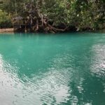 Full-Day Efate Round Island Trip with Yumi Tours - Who Should Consider This Tour?