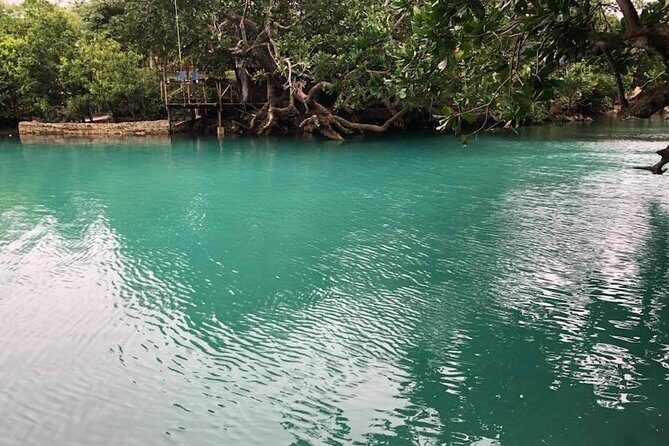 Full-Day Efate Round Island Trip with Yumi Tours - Who Should Consider This Tour?
