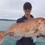 Full Day Fishing Trip on Auckland Waitemata Harbour - The Itinerary: What Does a Day of Auckland Harbour Fishing Look Like?