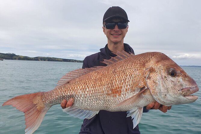 Full Day Fishing Trip on Auckland Waitemata Harbour - The Itinerary: What Does a Day of Auckland Harbour Fishing Look Like?