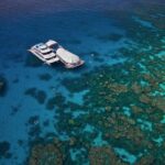 Full-Day Great Barrier Reef Pontoon with Snorkeling & Activities - The Crew & Guides