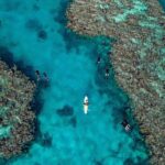 Full-Day Great Barrier Reef Snorkeling from Hamilton Island - The Pros and Cons of This Reef Tour