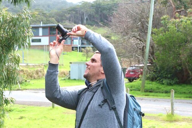 Full-Day Great Ocean Road and 12 Apostles Sunset Tour from Melbourne - A Full Breakdown of the Experience