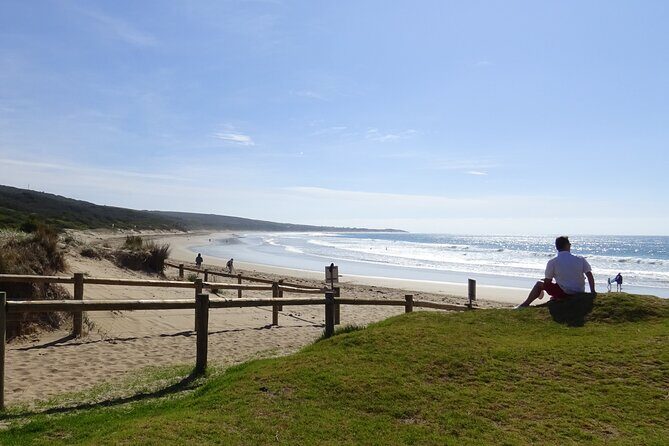 Full-Day Great Ocean Road and 12 Apostles Tour - The Experience in Detail
