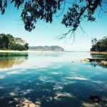 Full-Day Guided Bruny Island Tour from Hobart - Who Will Love This Tour?