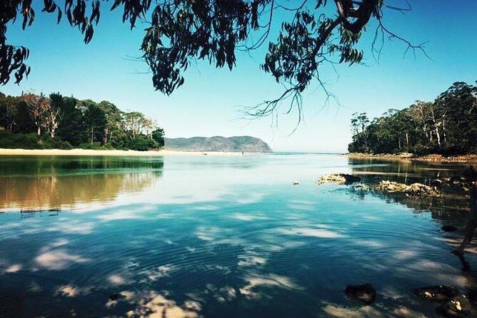 Full-Day Guided Bruny Island Tour from Hobart - Who Will Love This Tour?