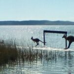 Full-Day Guided Noosa Everglades Kayak Tour - What’s Included and Why It Matters