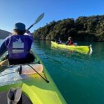 Full-Day Guided Sea Kayak Trip from Picton - Detailed Breakdown of the Itinerary