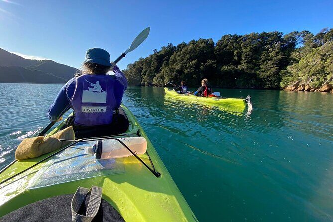 Full-Day Guided Sea Kayak Trip from Picton - Detailed Breakdown of the Itinerary