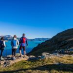 Full Day Guided Walking Tour and Picnic around Godley Head - The Godley Head Loop Track